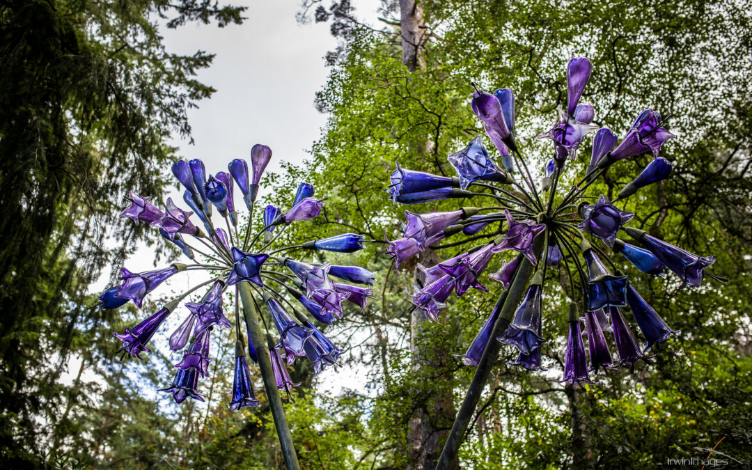 Join Jane 8 …………..A Quick Tour of the UK’s Sculpture Parks Part 1